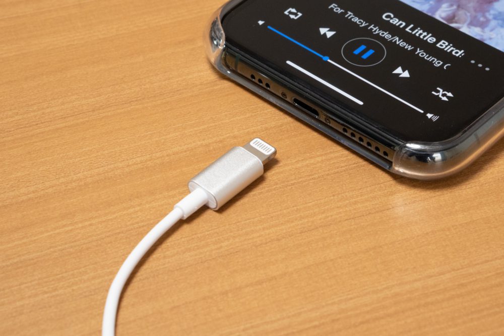 iPhoneで充電と同時にイヤホンを使う方法【そんなことできるの？ 】｜radius｜ラディウス株式会社 オーディオ・デジタル音響機器・ Lightning製品メーカー