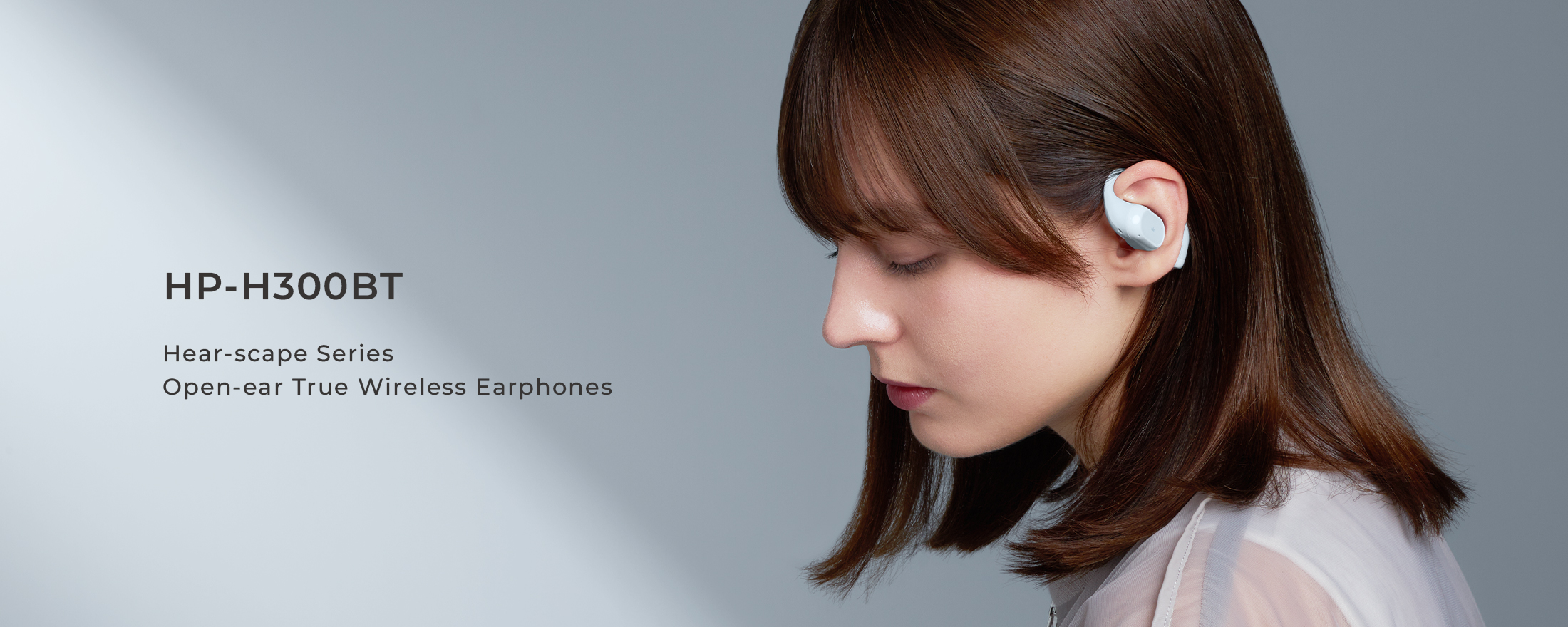 HP-H300BT メインイメージ2