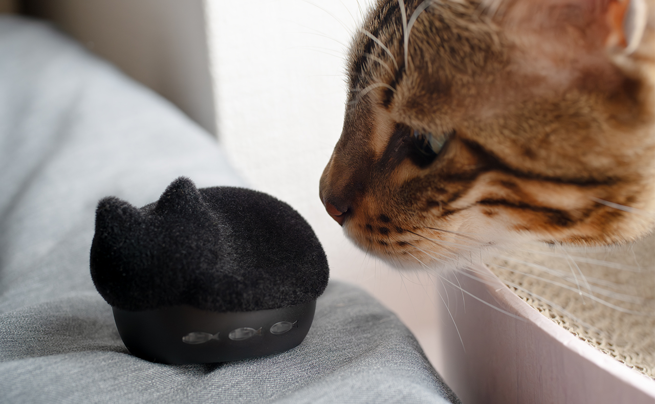 HP-C28BTF 完全ワイヤレスイヤホン NEKO 猫 フロッキー HP-C28BTK/HP