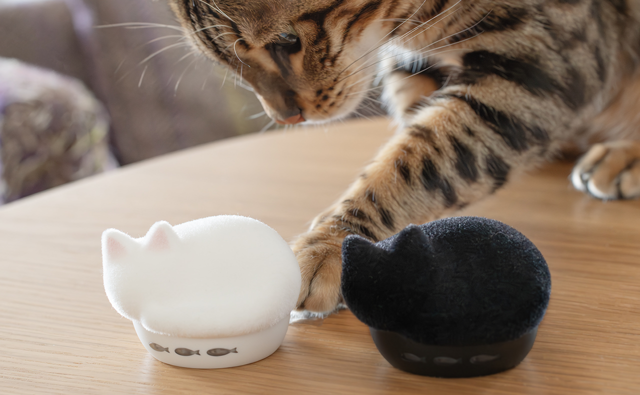 HP-C28BTF 完全ワイヤレスイヤホン NEKO 猫 フロッキー HP-C28BTK/HP